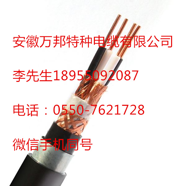 JH-HB-VPR 2*1 GF-WDZCEER23-125 DJYVPR22 計(jì)算機(jī)電纜