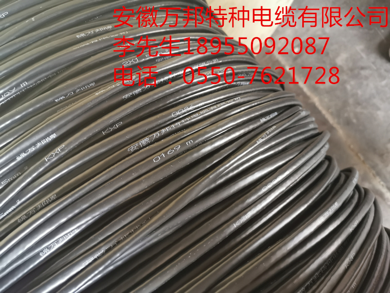 KX-GS-VVPR 2*1.5 補(bǔ)償導(dǎo)線電纜