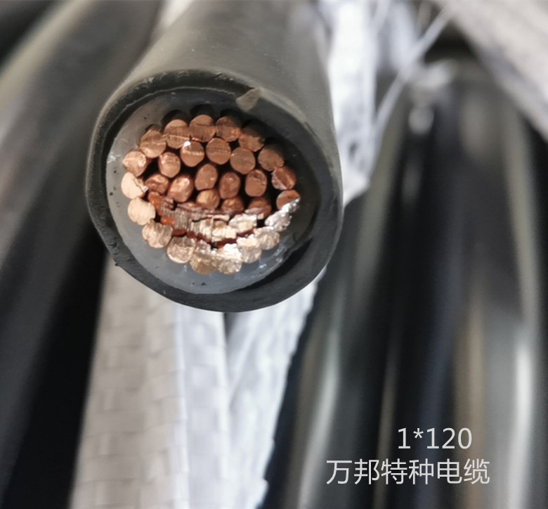 WDZ-RYJ-105℃-0.65/1.1KV 1*10